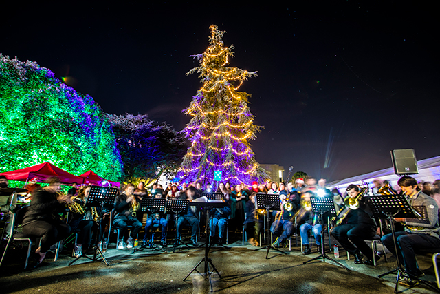 Band plays in front of the campus Christmas tree